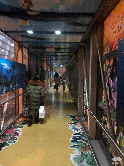 無愧五星航司稱號 非黃金航線的精品服務與專業(yè)倉儲