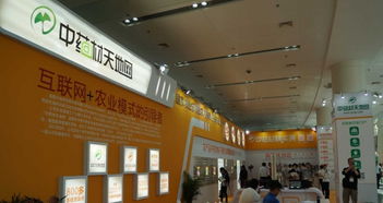 匠心筑展，茶韻飄香 福州展覽搭建工廠(chǎng)的一站式專(zhuān)業(yè)服務(wù)