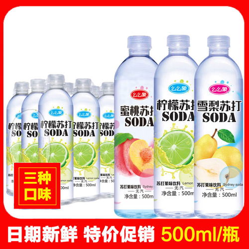 品味清新健康 年貨節蘇打水整箱批發全攻略